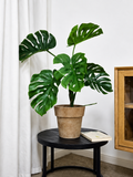 Faux Monstera Medium with Pot