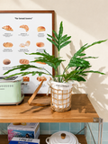 Faux Small Indoor Fern Plant with Woven Basket