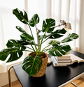 Faux Monstera with Woven Basket