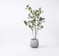 Pieris Japonica Luxury Faux Green