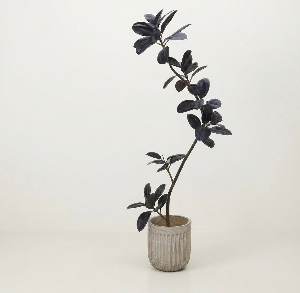 Artificial Green Black Rubber Tree